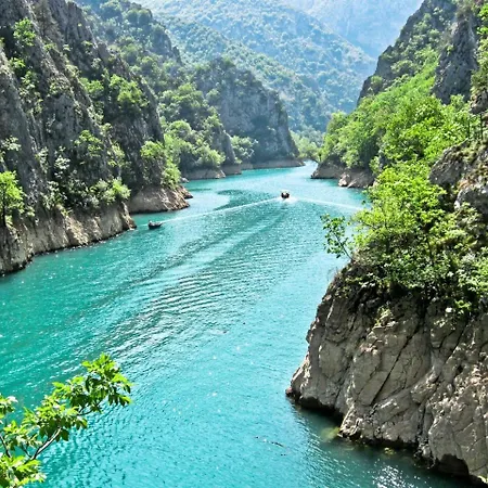 בית הארחה Nestor סקופיה